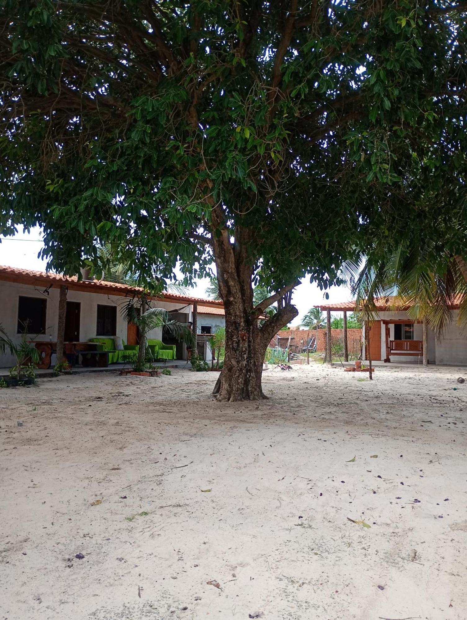 Pousada Shalom E Hostel Holly Land Santo Amaro do Maranhao Extérieur photo