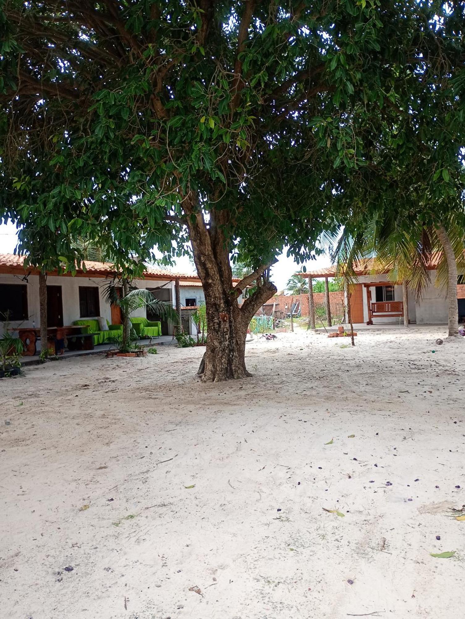 Pousada Shalom E Hostel Holly Land Santo Amaro do Maranhao Extérieur photo